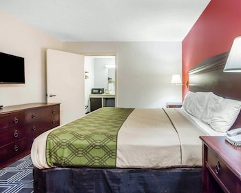 Room, 1 King Bed, Accessible, Non Smoking