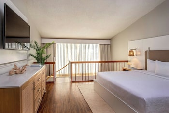 Suite, 1 King Bed with Sofa bed