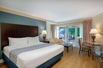 Room, 1 King Bed, Non Smoking, Poolside