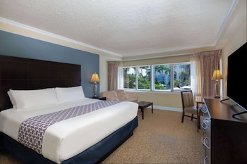 Deluxe Room, 1 King Bed, Non Smoking
