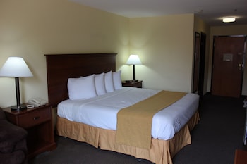 Standard Room, 1 King Bed, Non Smoking