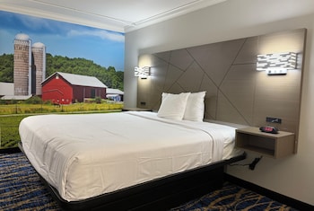 Room, 1 King Bed