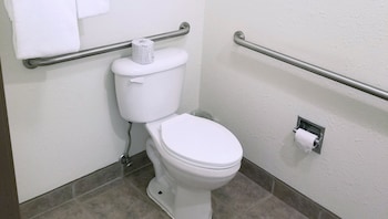 Traditional Room, 1 King Bed, Accessible, Non Smoking