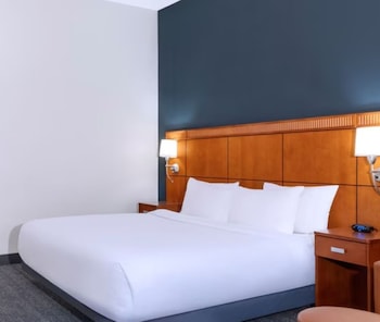 Room, 1 King Bed with Sofa bed, Hearing Accessible