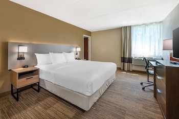 Suite, 1 King Bed with Sofa bed, Non Smoking