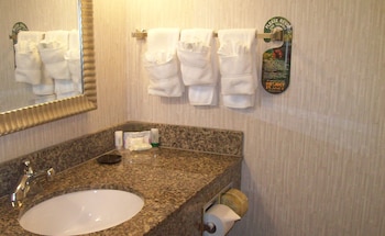 Premium Room, 1 King Bed, Accessible Bathtub (Communications)