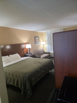 Standard Room, 1 King Bed with Sofa bed, Non Smoking
