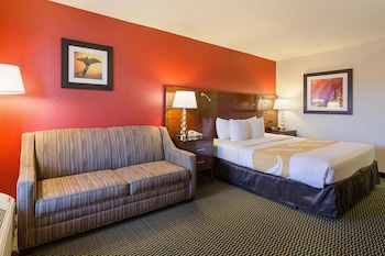 Standard Room, 1 King Bed with Sofa bed, Non Smoking