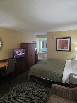 Standard Room, 1 King Bed, Non Smoking