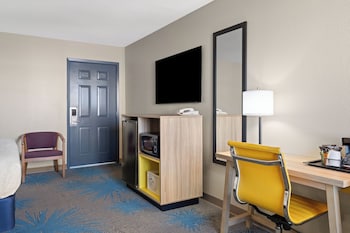 Suite, 1 King Bed, Refrigerator