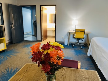 Suite, 1 King Bed, Refrigerator