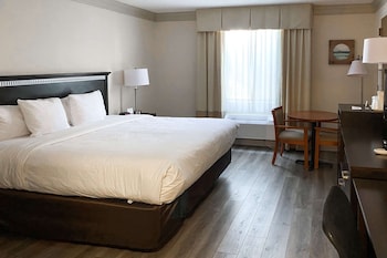 Room, 1 King Bed, Accessible, Non Smoking (Roll in Shower)