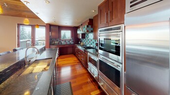Luxury Condo, Multiple Bedrooms (Platinum)