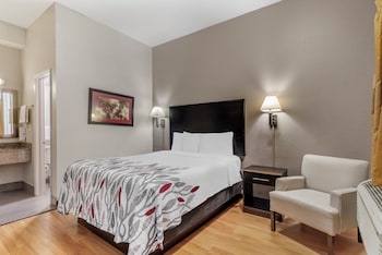 Deluxe Room, 1 Queen Bed, Accessible, Smoking