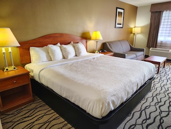 Standard Room, 1 King Bed with Sofa bed, Smoking