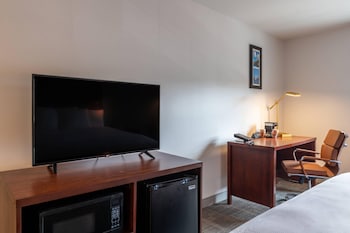 Standard Room, 1 King Bed, Non Smoking