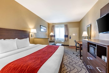 Suite, 1 King Bed with Sofa Bed, Non Smoking