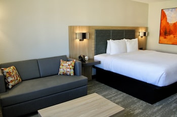 Room, 1 King Bed, Accessible, Non Smoking