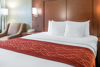Room, 1 King Bed, Accessible, Non Smoking