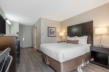 Standard Room, 1 Queen Bed, Non Smoking, Refrigerator & Microwave