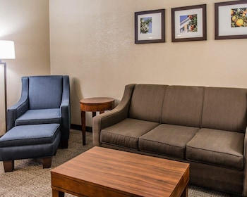 Suite, 1 King Bed with Sofa bed, Non Smoking