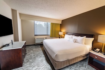 Suite, 1 King Bed with Sofa bed