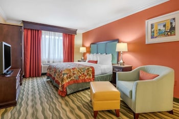 Standard Room, 1 King Bed, Accessible, Non Smoking (Walk-in Shower;with Sofabed)
