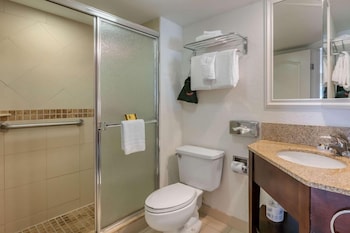 Suite, 1 King Bed, Non Smoking (Shower Only)