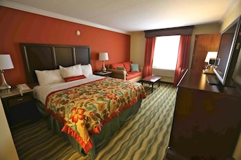Standard Room, 1 King Bed, Non Smoking (Shower Only;Larger Room;with Sofabed)