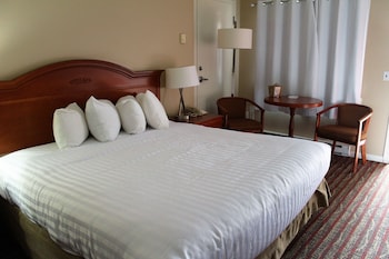 Room, 1 King Bed, Accessible, Non Smoking