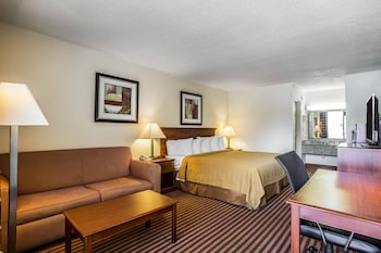 Standard Room, 1 King Bed with Sofa bed, Non Smoking