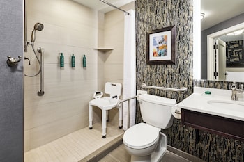 Room, 1 Double Bed (Roll-In Shower)