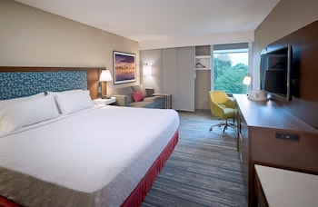 Standard Room, 1 King Bed with Sofa bed, Non Smoking