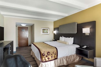 Standard Room, 1 King Bed, Non Smoking, Refrigerator & Microwave