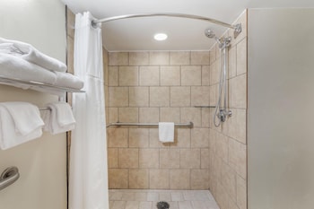 Standard Room, 1 King Bed, Accessible, Refrigerator & Microwave