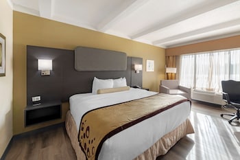 Standard Room, 1 King Bed, Non Smoking, Refrigerator & Microwave
