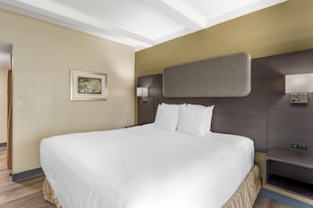 Standard Room, 1 King Bed, Accessible, Refrigerator & Microwave, Exterior Access