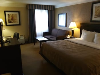 Standard Room, 1 King Bed with Sofa bed, Non Smoking