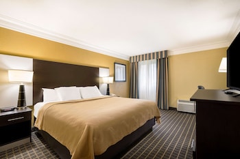 Standard Room, 1 King Bed with Sofa bed, Non Smoking