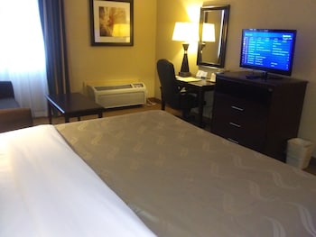 Standard Room, 1 King Bed with Sofa bed, Non Smoking