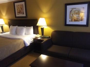 Standard Room, 1 King Bed with Sofa bed, Non Smoking