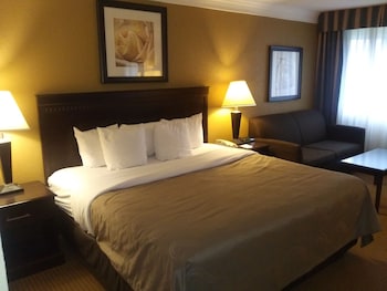 Standard Room, 1 King Bed with Sofa bed, Non Smoking