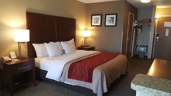 Suite, 1 King Bed with Sofa bed, Non Smoking
