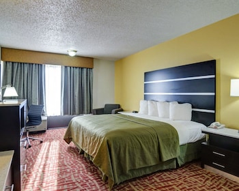 Standard Room, 1 King Bed, Non Smoking