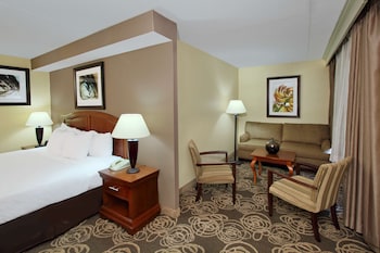Junior Suite, 1 King Bed, Non Smoking