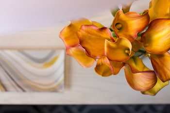 Suite, 1 King Bed, Terrace