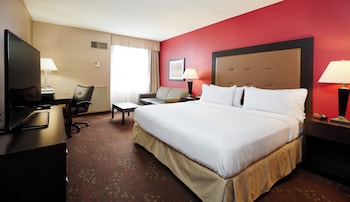 Room, 1 King Bed with Sofa bed