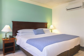 Room, 1 King Bed, Non Smoking