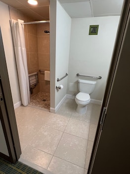 Room, 1 King Bed, Accessible, Non Smoking