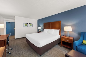 Standard Room, 1 King Bed, Non Smoking